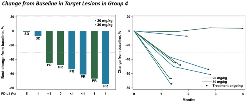 NSCLC-5